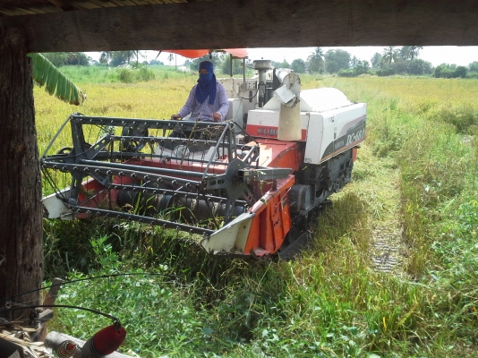 ขายแล้วคับไปสระแก้ว ขายแล้วคับไปสระแก้ว