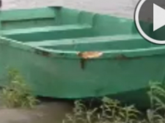 อยากขายสุดๆ