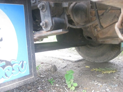 ขายหกล้อ NPR 115 แรง F หน้าหลัง พร้อมใช้ 088-4501277