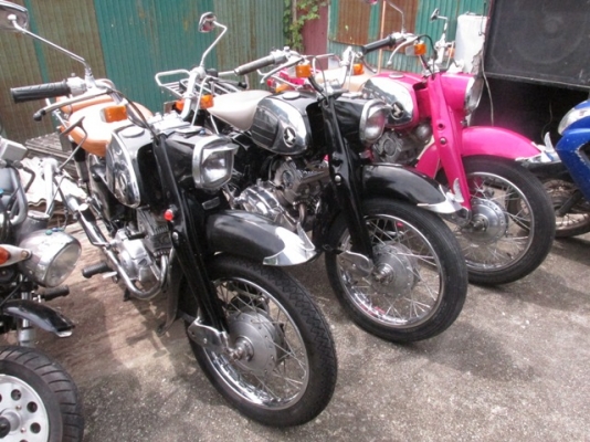 ให้เช่าC95