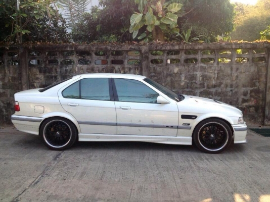 ขาย bmw 318 ปี 36 ขาย bmw 318 ปี 36