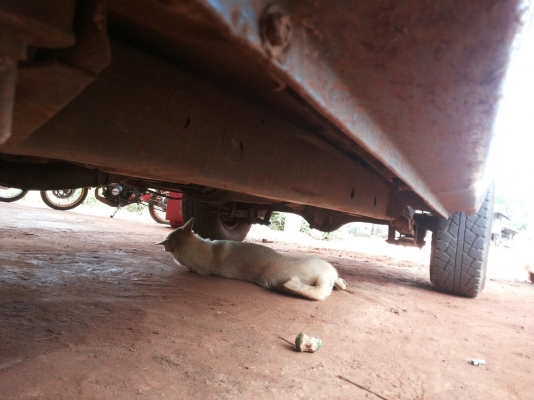 ขายครับ มังกรแค็ป 90HP ปี35/92 พ.พาวเวอร์ สภาพตามรูป รายละเอียดติดไว้ก่อนครับ ราคาต่อรองได้เด้อ พี่น้องครับ