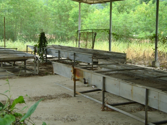 โรงงานอาหารกระป๋องให้เช่าระยะยาว  สามารถผลิตสับปะรดกระป๋องและอาหารอื่นๆ