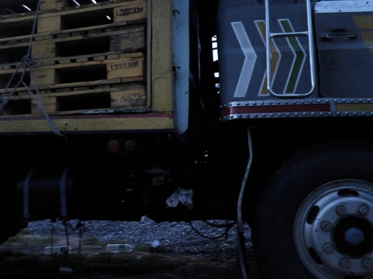 สิบล้อพื้นเรียบ สิบล้อพื้นเรียบ