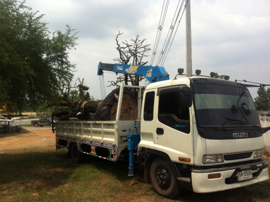 ขายรถเครน 6 ล้อ เครน 3 ตัน