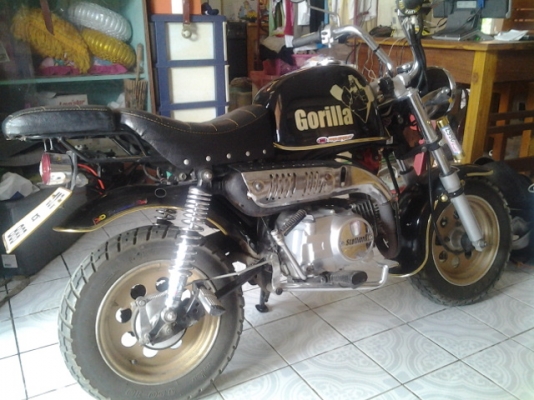 ขาย gorilla 125 cc ทะเบียน สวย เอกสารพร้อมโอน ขาย gorilla 125 cc ทะเบียน สวย เอกสารพร้อมโอน