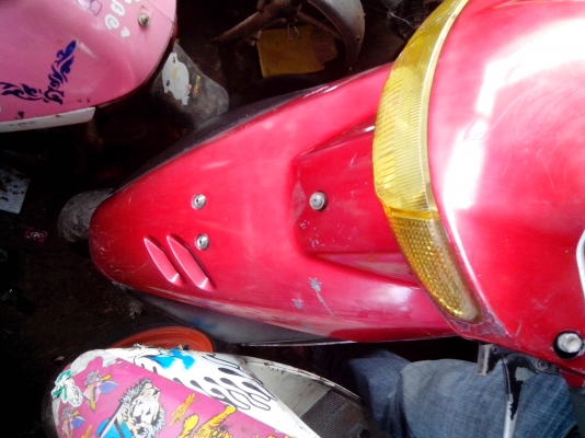 ขายป็อปน้อย ตัวนี้ดิสหน้า 4000 บาท ขายป็อปน้อย ตัวนี้ดิสหน้า 4000 บาท