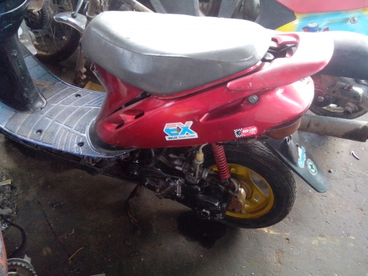 ขายป็อปน้อย ตัวนี้ดิสหน้า 4000 บาท