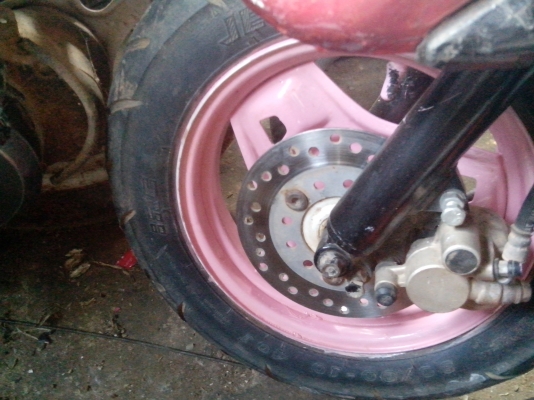 ขายป็อปน้อย ตัวนี้ดิสหน้า 4000 บาท ขายป็อปน้อย ตัวนี้ดิสหน้า 4000 บาท