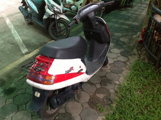 ขาย ป๊อบ ฮอนด้า ขาย ป๊อบ ฮอนด้า