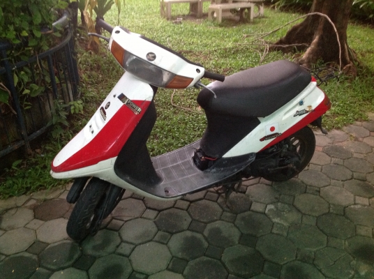 ขาย ป๊อบ ฮอนด้า ขาย ป๊อบ ฮอนด้า