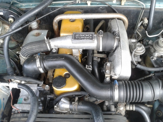 ขายดราก้อนปี 42