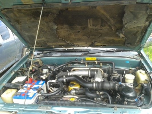 ขายดราก้อนปี 42