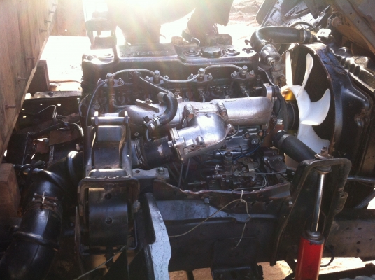 ขาย NKR 110 วางกาตูน ขาย NKR 110 วางกาตูน