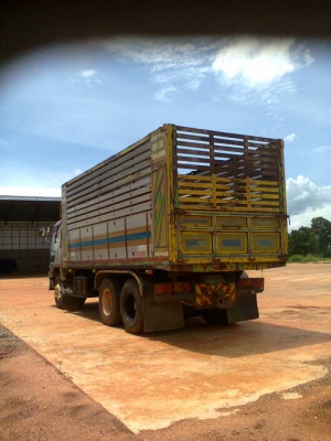 Hino  3M สวยๆๆ