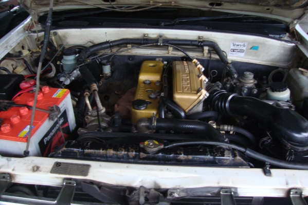 มังกรทองสวยมากมาก