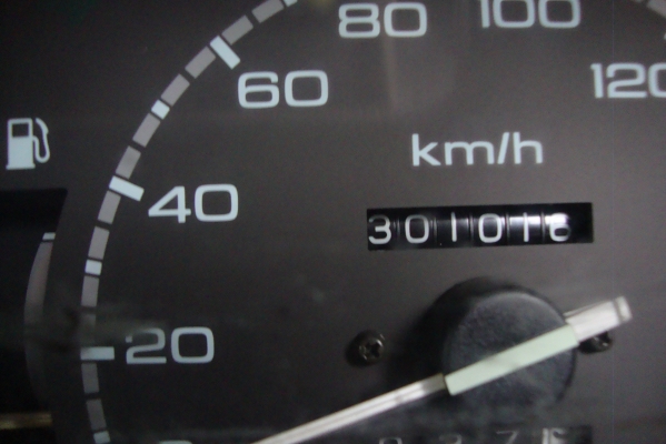 มังกรทองสวยมากมาก