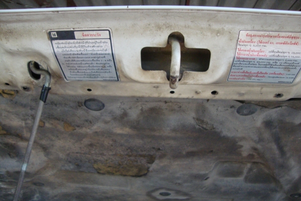 มังกรทองสวยมากมาก