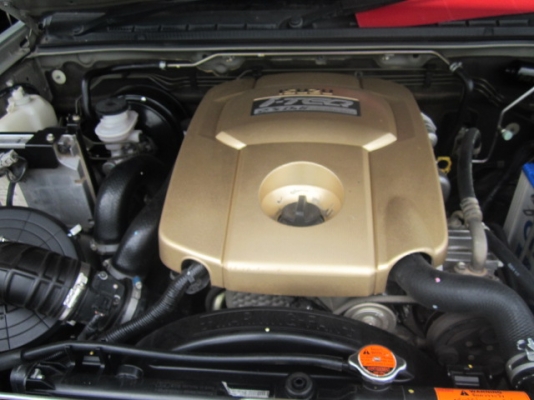 ขายสดหรือดาวก็ได้