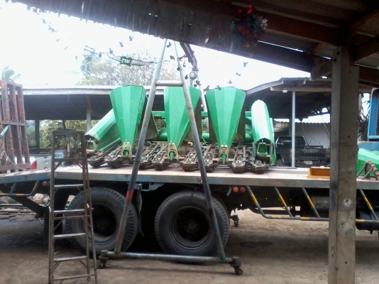 หัวข้าวโพด หัวข้าวโพด