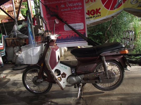 ขายคัสต้อมทะเบียนเต็มแฝง4เกีย17000บาทพิดโลก