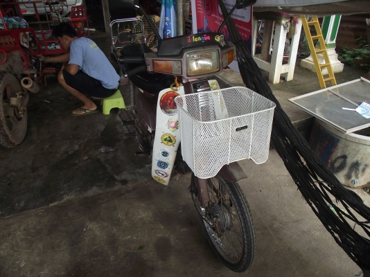 ขายคัสต้อมทะเบียนเต็มแฝง4เกีย17000บาทพิดโลก ขายคัสต้อมทะเบียนเต็มแฝง4เกีย17000บาทพิดโลก