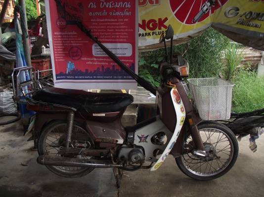 ขายคัสต้อมทะเบียนเต็มแฝง4เกีย17000บาทพิดโลก ขายคัสต้อมทะเบียนเต็มแฝง4เกีย17000บาทพิดโลก