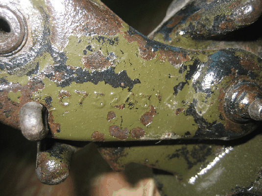 ขายขอปากนกแก้วเก่า U.S.A