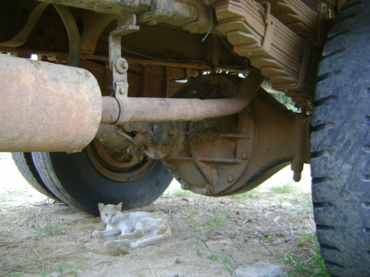 รถดั้ม หัวยาว