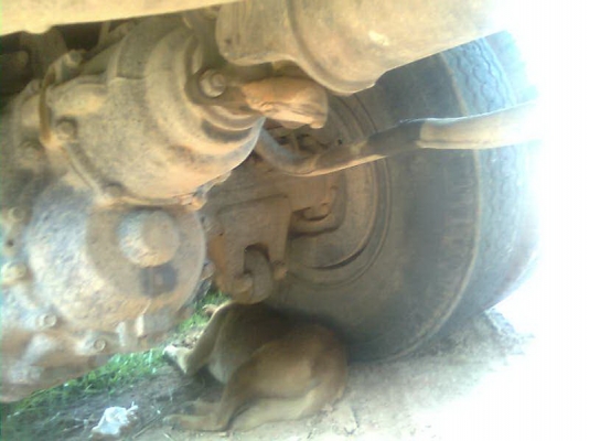 ขายไอ้หลงโบว์FN527M-TF51xxเบรคใหญ่รถห้างเดิมๆๆคร