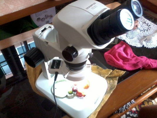 ขายกล้องกล้องสเตอริโอไมโครสโคปมือสอง Stereo Microscope Olympus Nikon Carton ขายกล้องกล้องสเตอริโอไมโครสโคปมือสอง Stereo Microscope Olympus Nikon Carton