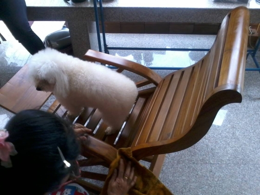 ขายโต๊ะไม้สัก อย่างดี ซื้อมาไม่เคยใช้เลยครับ