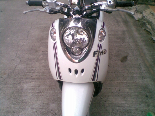 ขาย Fino