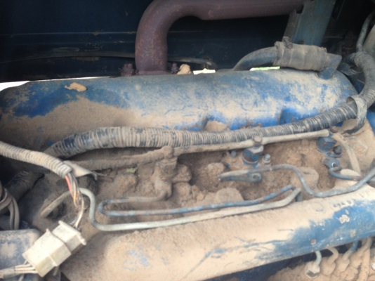 ขายรถไถ FORD- 6600 - 1 เพลา มีภาพวีดีโอ แถมฟรีตู้นวดข้าวเกษตรพัฒนา พวงรถไถ ตู้4ฟตปี38 หมายเลขเครื่อง T3-D5NN เครื่องดี หมายเลขเกียร์ D9NN หมายเลขท้ายเบาะ D6NN อุปกรณ์มี ใบมีดดันหน้า ผาน 7 สภาพพร้อมใช้งานได้เลย เอกสารเล่มทะเบียน สนใจติดต่อ คุณ ชัยยา สตึก โ