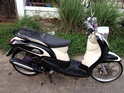 ขายพรีโน่ ตัวเกร์แยกแท้