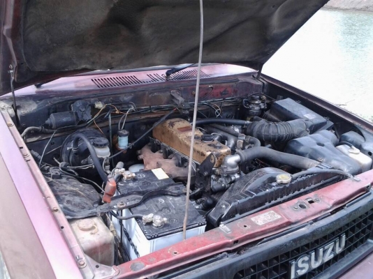 ขอขายisuzu kbcab รถดีชัสซีไม่มีผุ เครื่องทำใหม่แน่ปึกพร้อใเข้าไรสวน