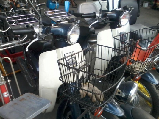 ขาย HONDA C50 ซุปเปอร์คลับ 50 CC. เก่าญี่ปุ่น ฝาแฝดเลยครับ จัดส่งได้ครับ