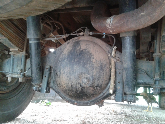 ขายNPRเฟืองท้ายF