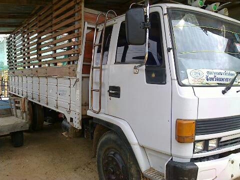 ขายร็อกกี้175