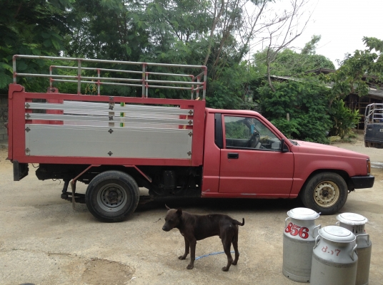 ขายกะบะดัม