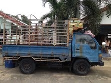 ยกเลิกการขายเลย ขายรถบรรทุก 4 ล้อ TOYOTA 200 DYNA เครื่อง BU61