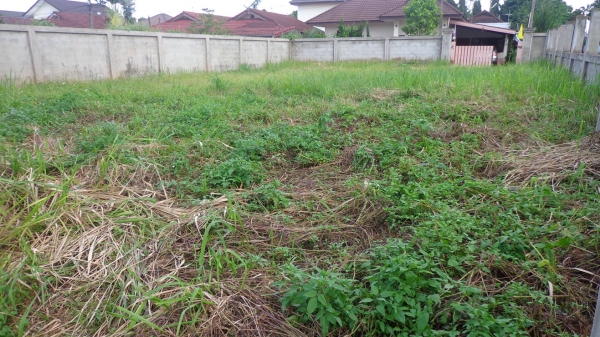 ขายที่ดินเนื้อที่ 70 ตารางวา ติดถนน อยู่ในชุมชน