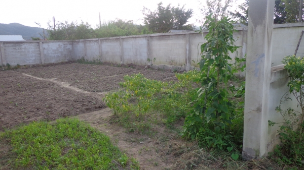 ขายที่ดินเนื้อที่ 89 ตารางวา ติดถนน อยู่ในชุมชน พร้อมโอน