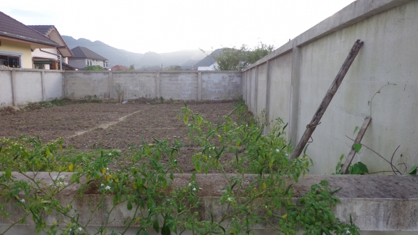 ขายที่ดินเนื้อที่ 89 ตารางวา ติดถนน อยู่ในชุมชน พร้อมโอน