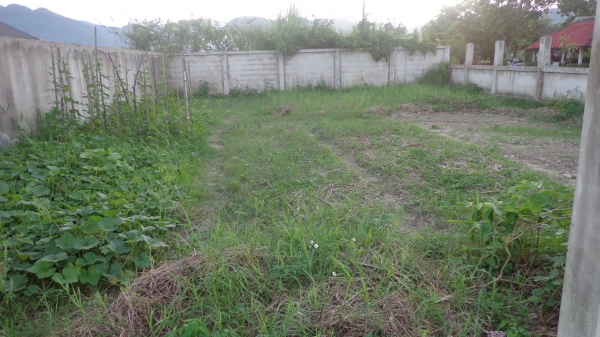 ขายที่ดินเนื้อที่ 89 ตารางวา ติดถนน อยู่ในชุมชน พร้อมโอน