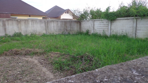 ขายที่ดินเนื้อที่ 89 ตารางวา ติดถนน อยู่ในชุมชน พร้อมโอน