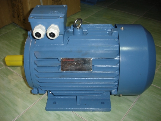 ขายมอเตอร์ crompton 10hp 380v