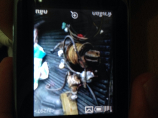 วิ้นไฮโดีลิก