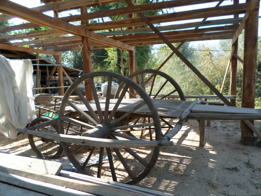 ขายเกวียนโบราณไม้พยุงเกือบทั้งหลังเริ่มจะหายากแล้วครับ เกวียนสภาพดีสภาพเกือบสมบูรณ์เก่าเก็บของผูเต่าแถวบ้านครับ  มียุ3หลังด่วนๆๆๆเปิดที่หลังละ13000บาทราคาคุยกันได้ครับสนใจติดต่อ 0801696651 อยู่อำนาจเจริญครับ