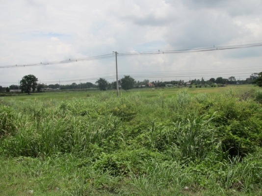 ขายที่ดินติดถนนสายเอเซียทำเลทอง